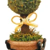 Hubrig Volkskunst Frühlingsdeko*Miniatur Buchsbaum, 3er Set von
