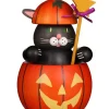 Christian Ulbricht Neuheiten | Räuchermännchen*Räuchermännchen Katze im Kürbis, 17 cm von