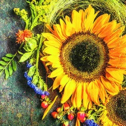 Home Fashion® | Carl Dietrich GmbH Osterservietten*Servietten Sunny Autumn von Home Fashion®