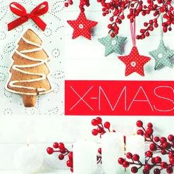Home Fashion® | Carl Dietrich GmbH Weihnachtsservietten*Weihnachtsservietten X-mas von Home Fashion®